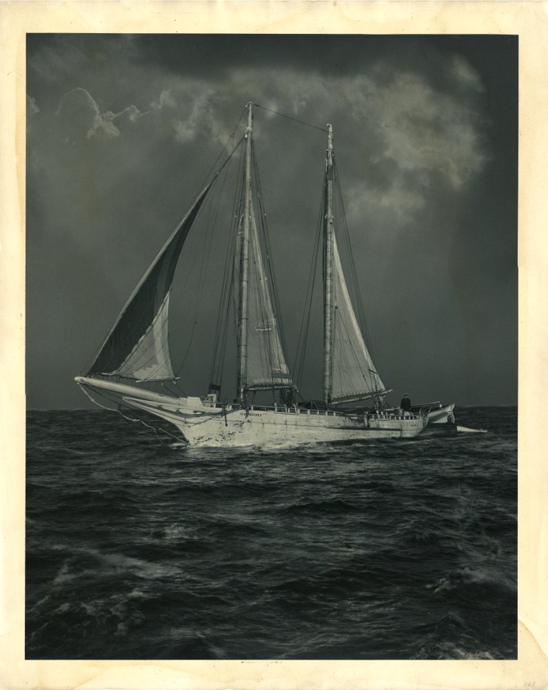 Click for larger image